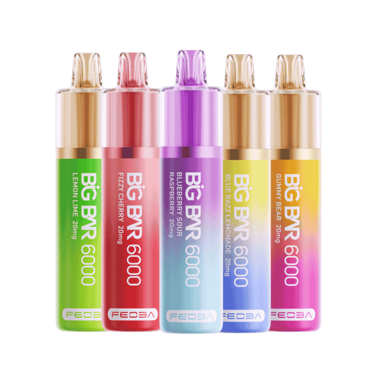 Feoba Big Bar 6000 | Rechargeable Disposable Vape | 1750mAh Battery
